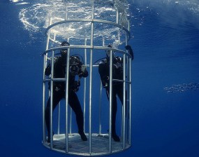 <a href="http://www.flickr.com/photos/38118051@N04/5081869462/">AlKok</a> via <a href="http://compfight.com">Compfight</a> <a href="http://creativecommons.org/licenses/by-nc-sa/2.0/">cc</a> 